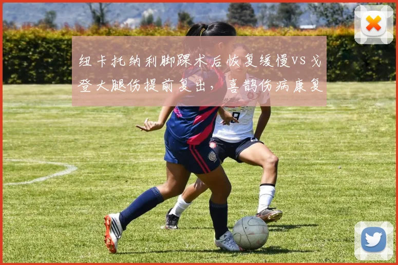 纽卡托纳利脚踝术后恢复缓慢vs戈登大腿伤提前复出，喜鹊伤病康复效率参差不齐引质疑